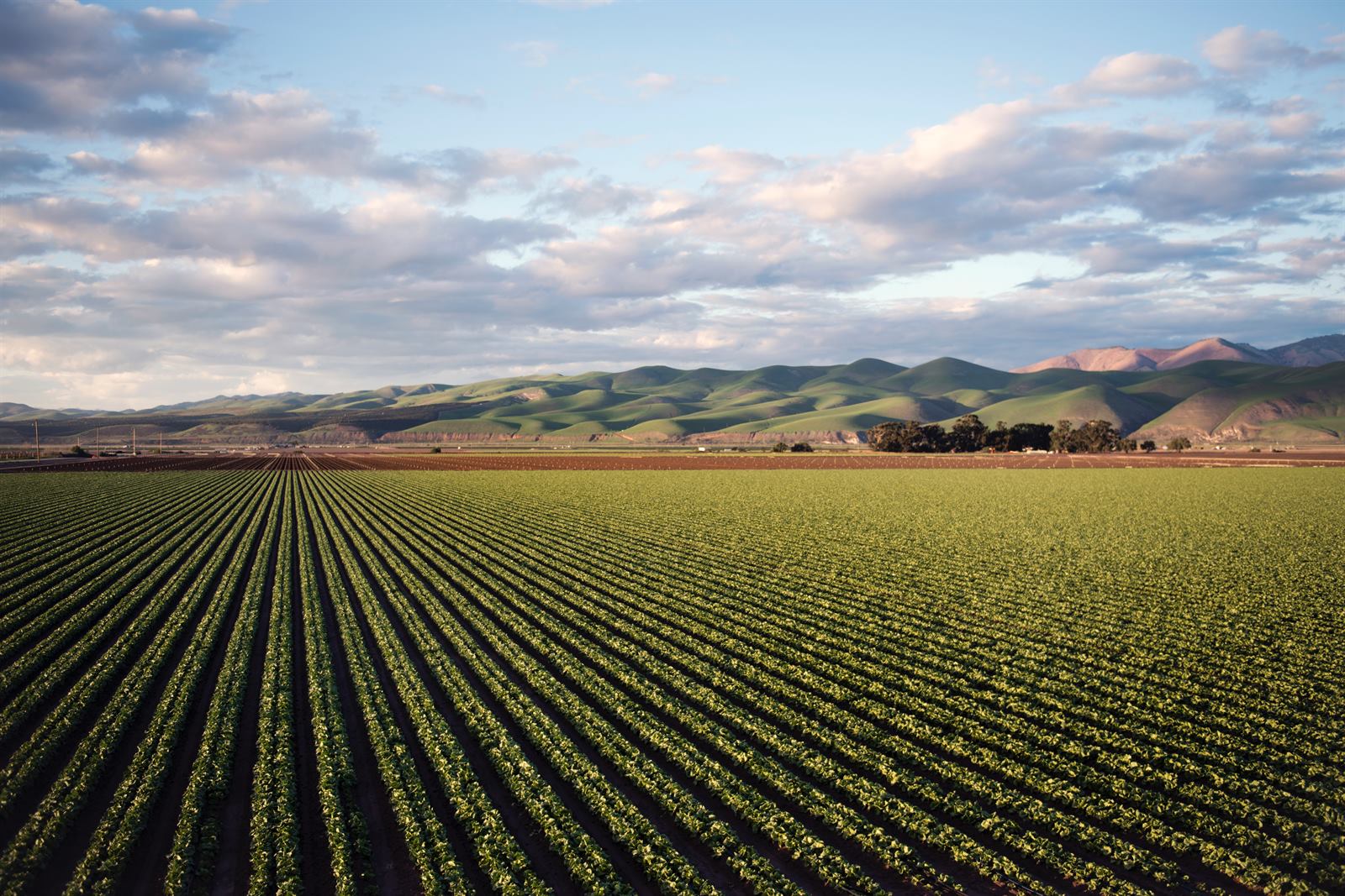 Wide irrigated farmland
