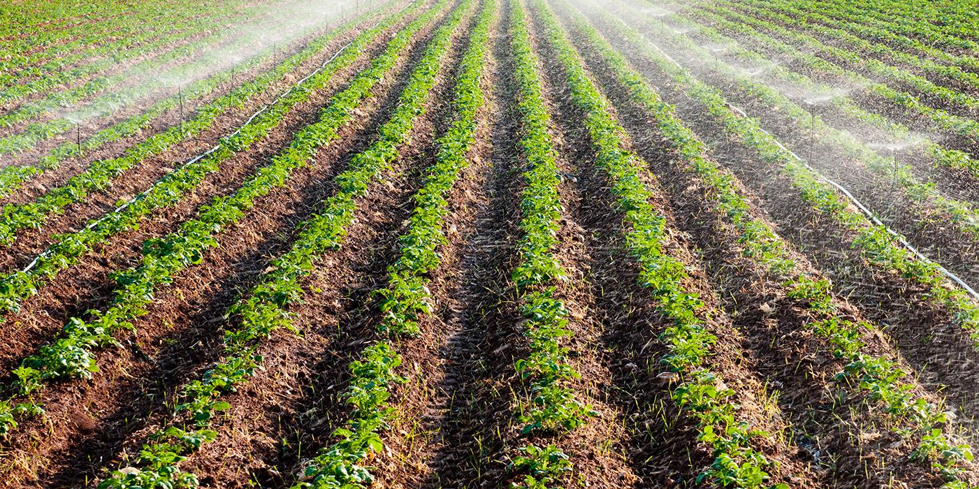 Sprinkler Systems
